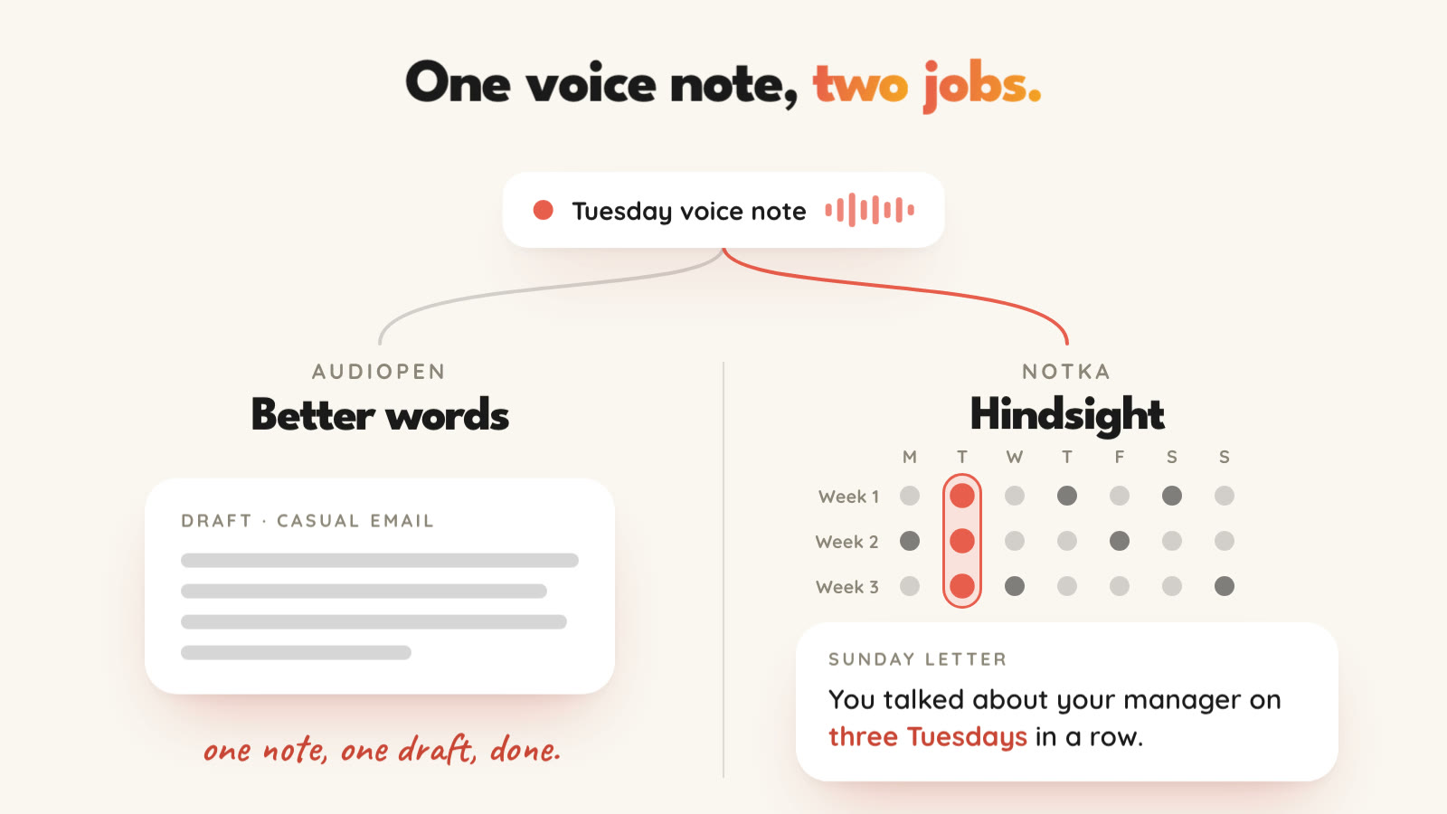 One Tuesday voice note splits two ways. On the AudioPen side it becomes a clean draft in a Casual Email style, one note, one draft, done. On the Notka side it is kept, the Tuesdays light up across three weeks, and a Sunday letter says you talked about your manager on three Tuesdays in a row.